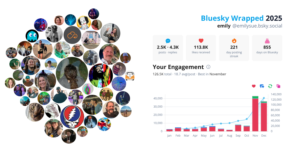 Your Bluesky Wrapped 2025 preview
