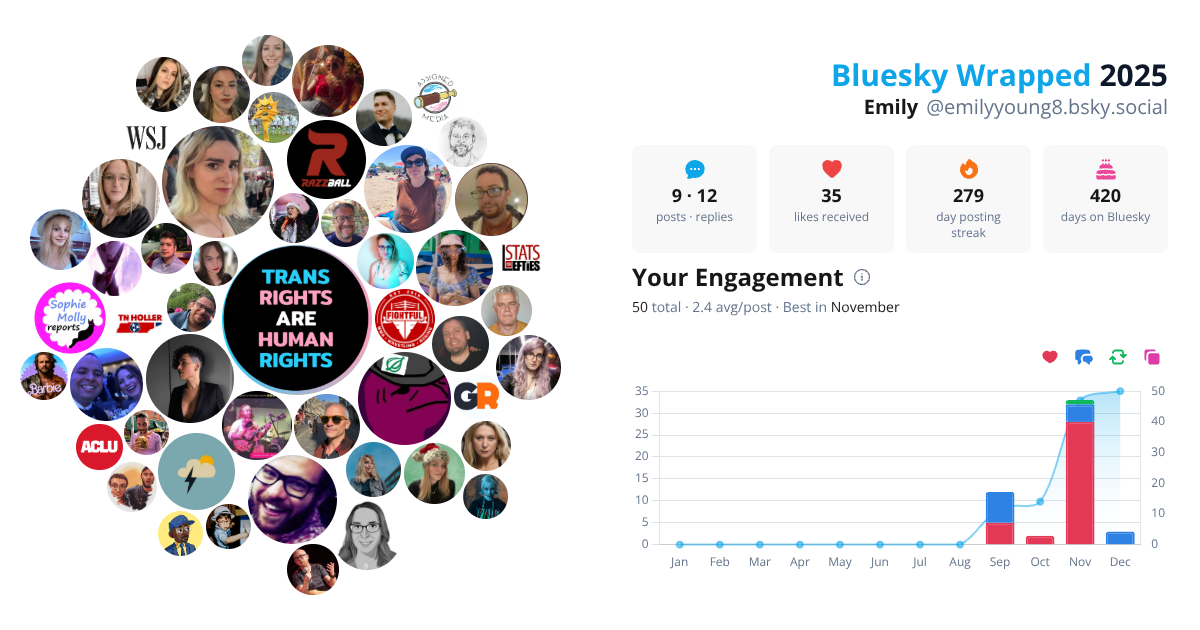 Your Bluesky Wrapped 2025 preview