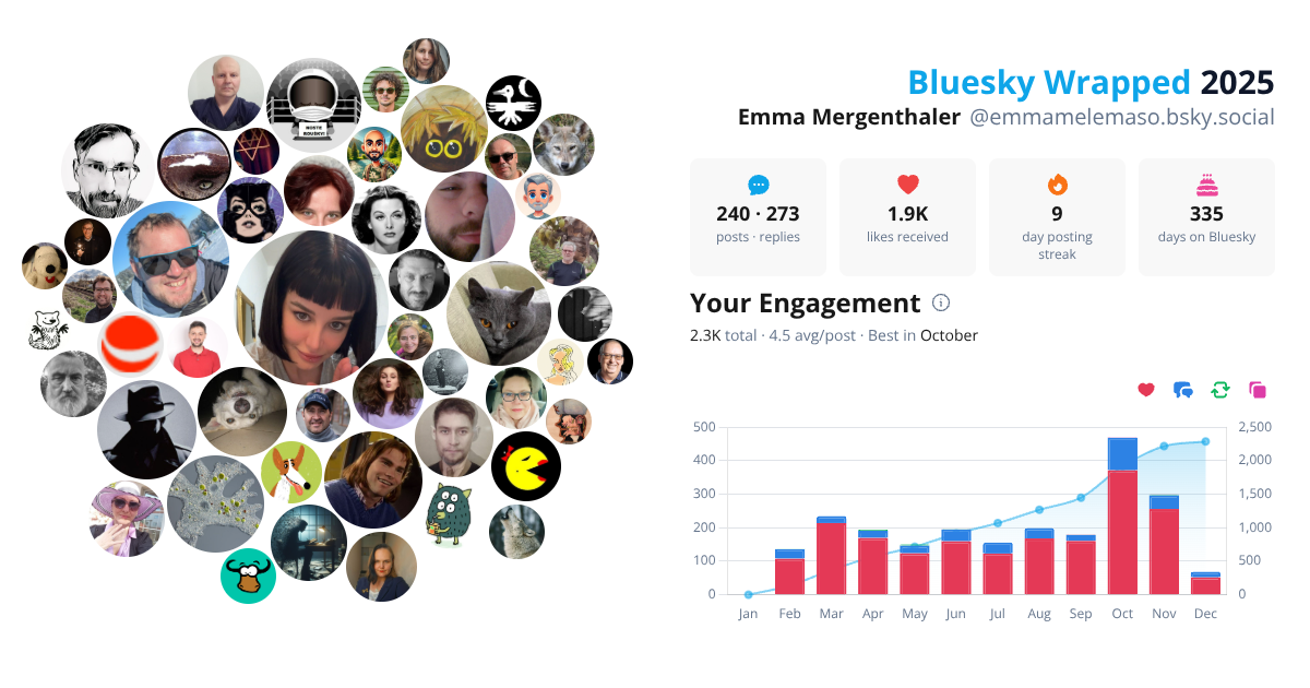 Your Bluesky Wrapped 2025 preview