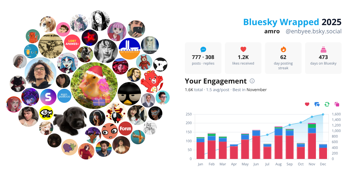 Your Bluesky Wrapped 2025 preview