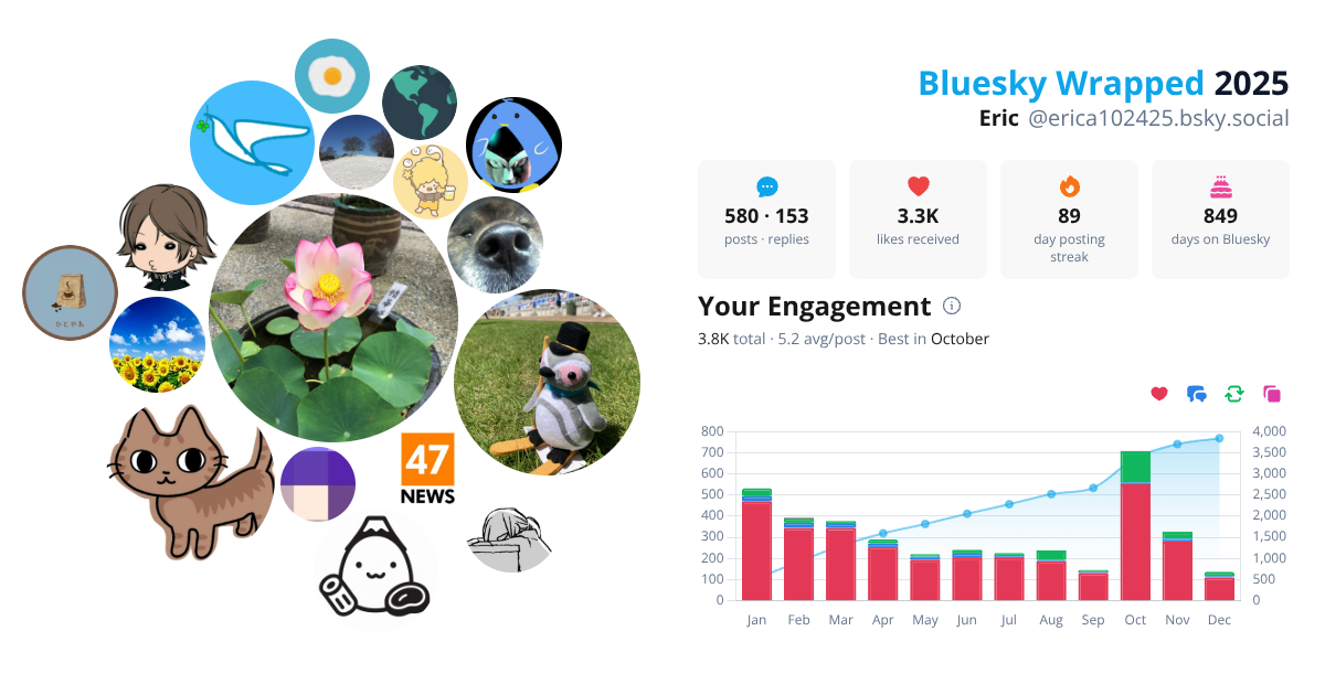 Your Bluesky Wrapped 2025 preview