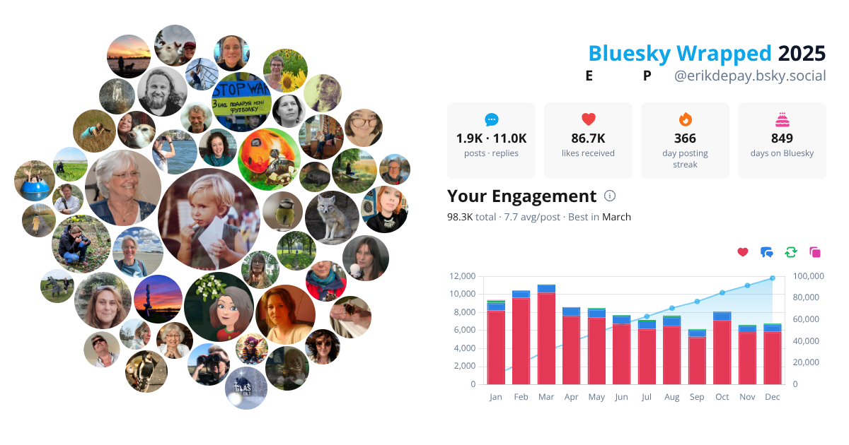 Your Bluesky Wrapped 2025 preview