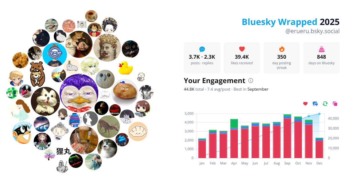 Your Bluesky Wrapped 2025 preview