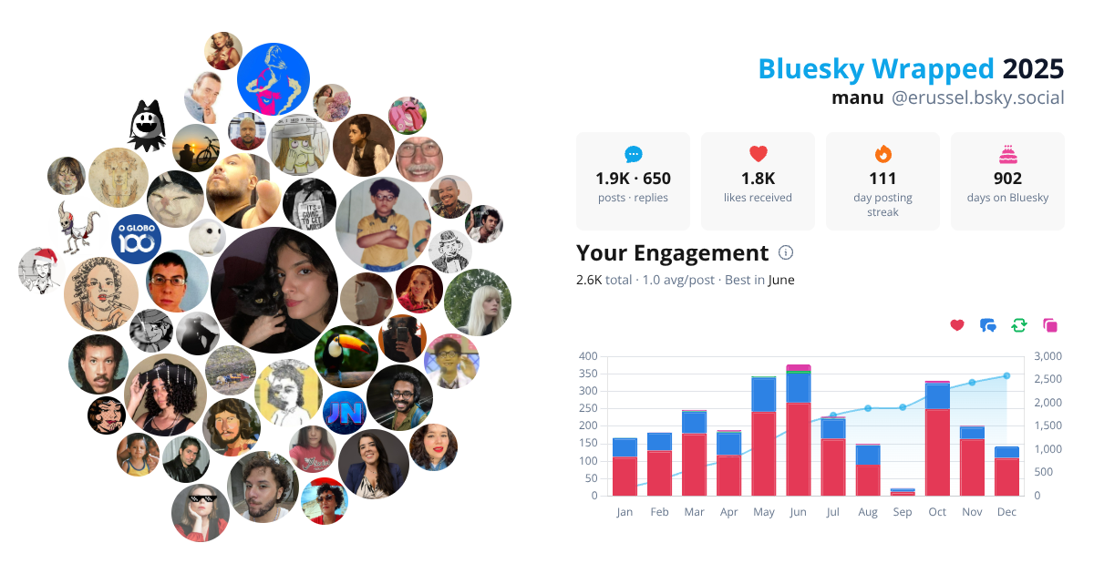 Your Bluesky Wrapped 2025 preview
