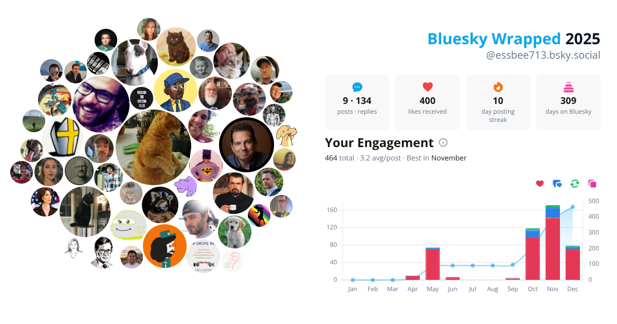Your Bluesky Wrapped 2025 preview