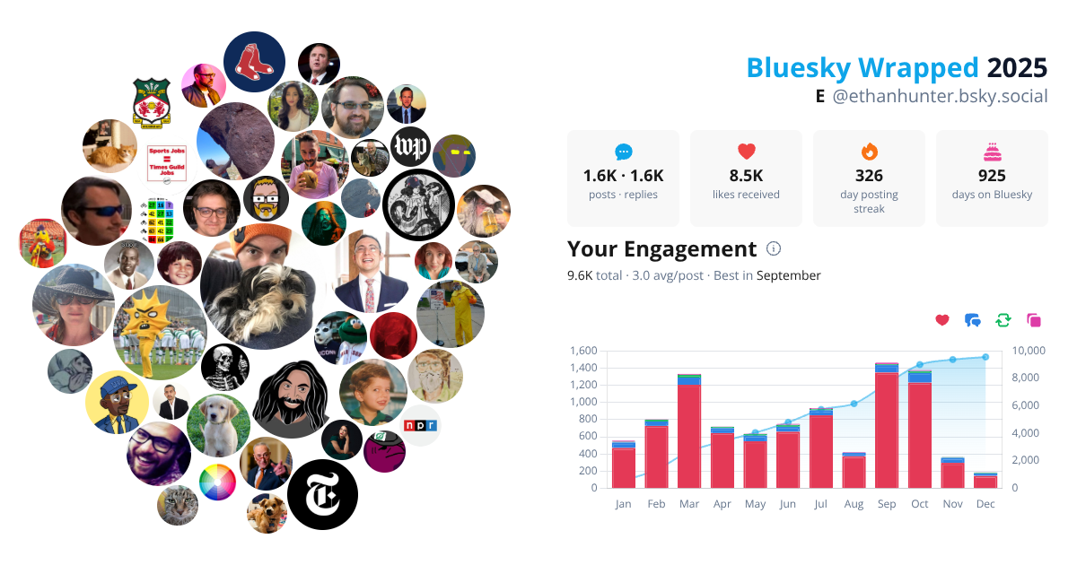 Your Bluesky Wrapped 2025 preview