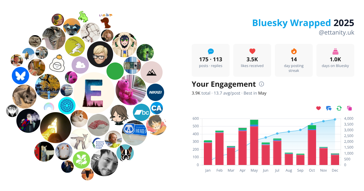 Your Bluesky Wrapped 2025 preview