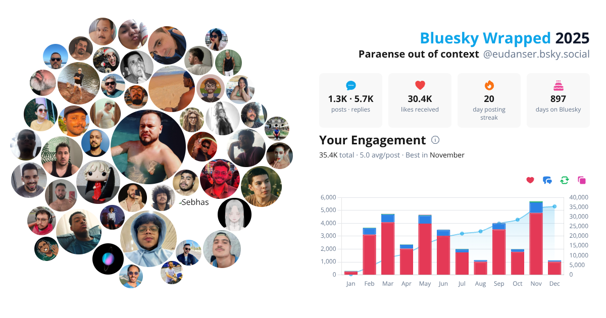 Your Bluesky Wrapped 2025 preview