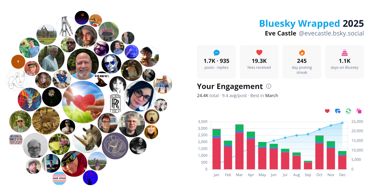 Your Bluesky Wrapped 2025 preview