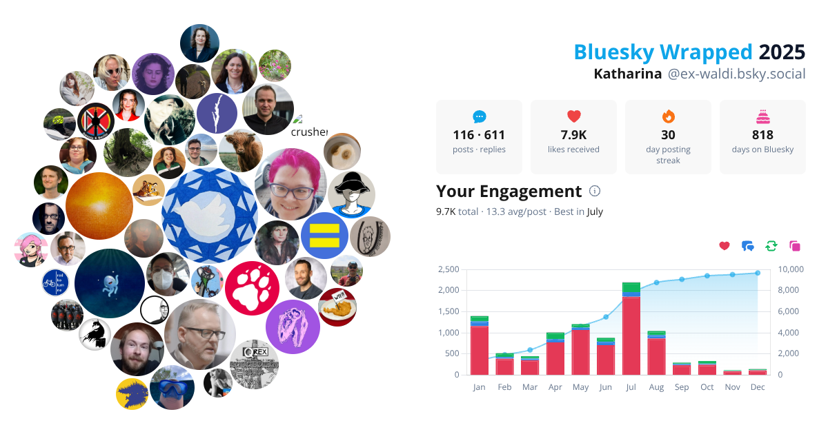 Your Bluesky Wrapped 2025 preview