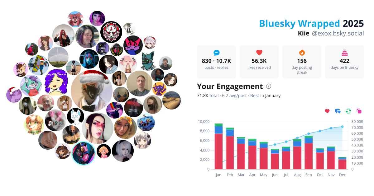 Your Bluesky Wrapped 2025 preview