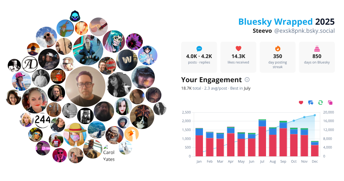 Your Bluesky Wrapped 2025 preview