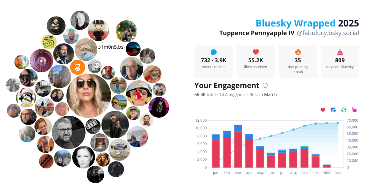 Your Bluesky Wrapped 2025 preview