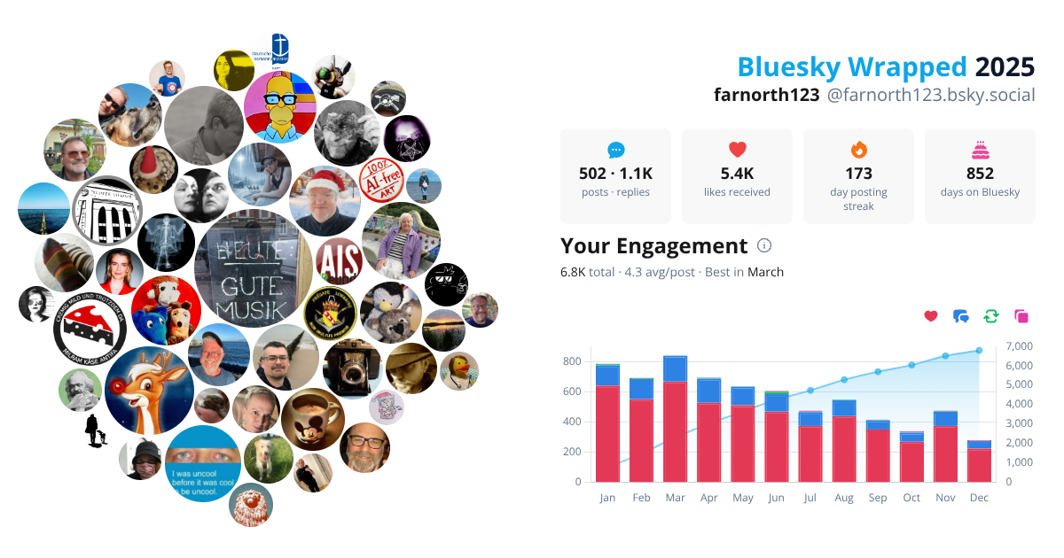 Your Bluesky Wrapped 2025 preview