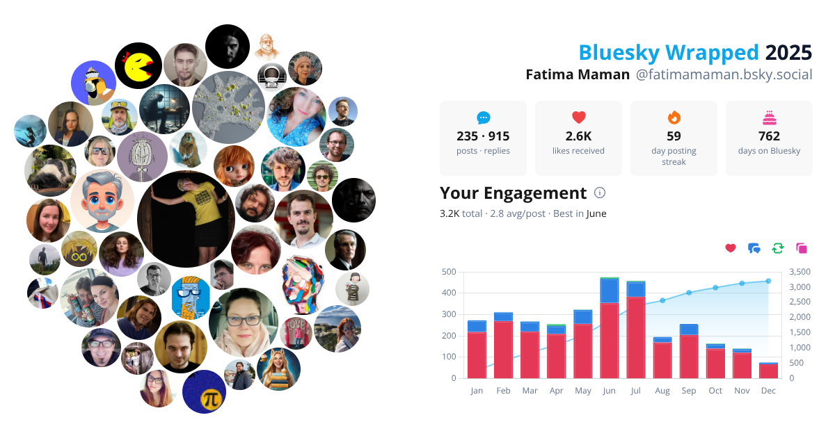 Your Bluesky Wrapped 2025 preview