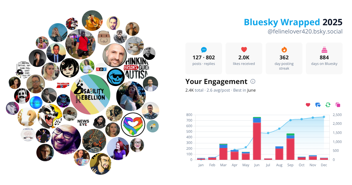 Your Bluesky Wrapped 2025 preview