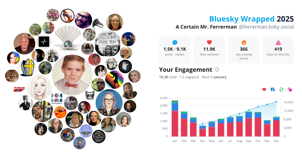 Your Bluesky Wrapped 2025 preview