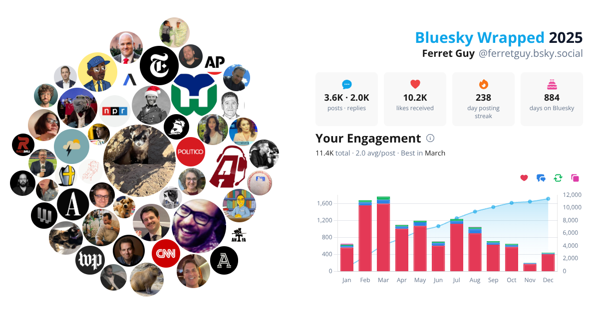 Your Bluesky Wrapped 2025 preview