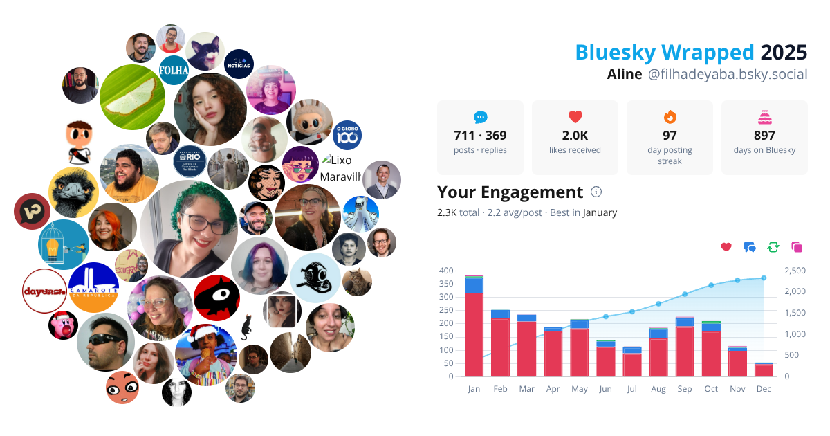 Your Bluesky Wrapped 2025 preview