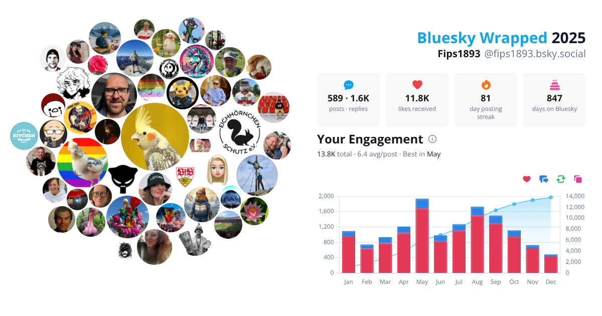 Your Bluesky Wrapped 2025 preview