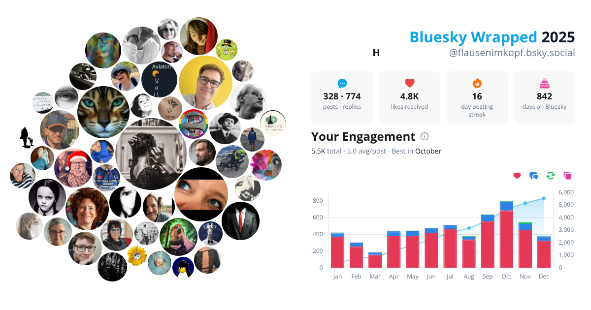 Your Bluesky Wrapped 2025 preview
