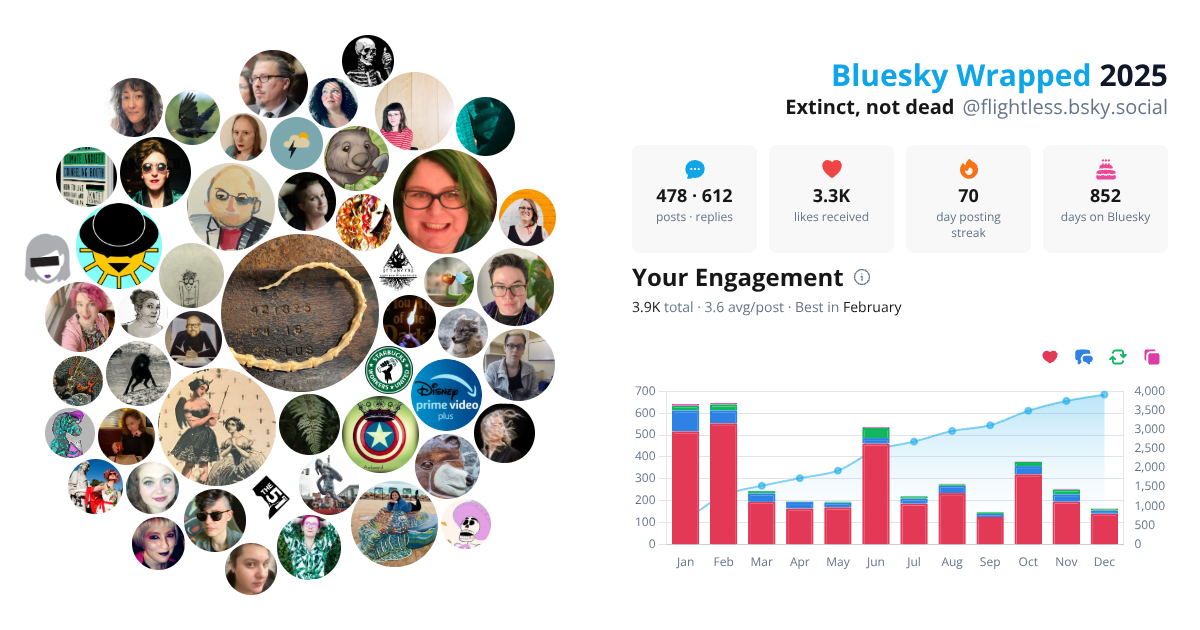 Your Bluesky Wrapped 2025 preview