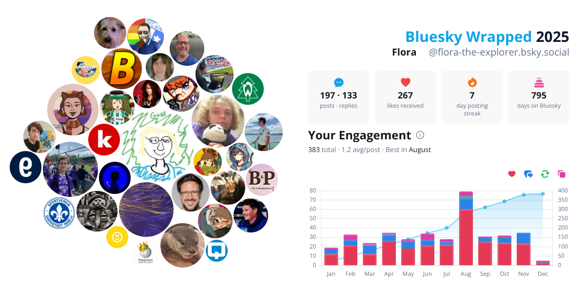 Your Bluesky Wrapped 2025 preview