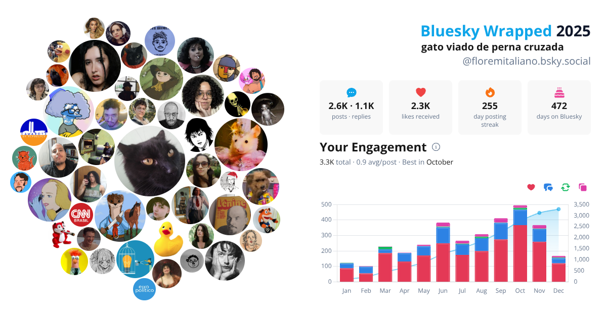 Your Bluesky Wrapped 2025 preview