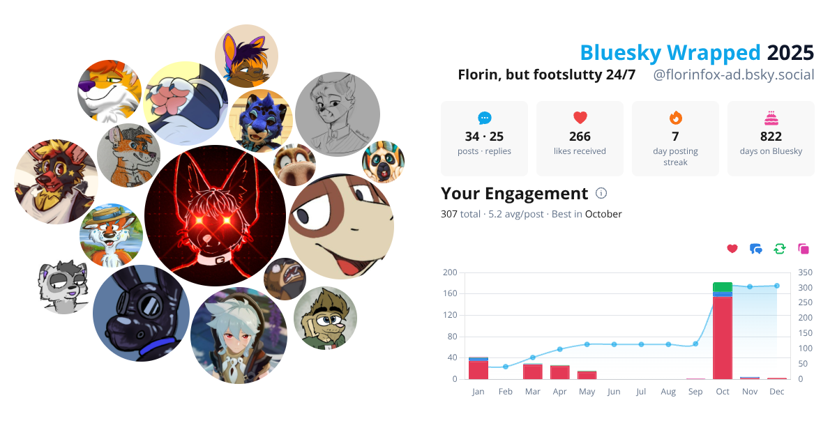 Your Bluesky Wrapped 2025 preview