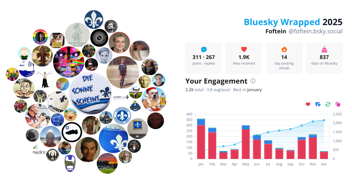 Your Bluesky Wrapped 2025 preview