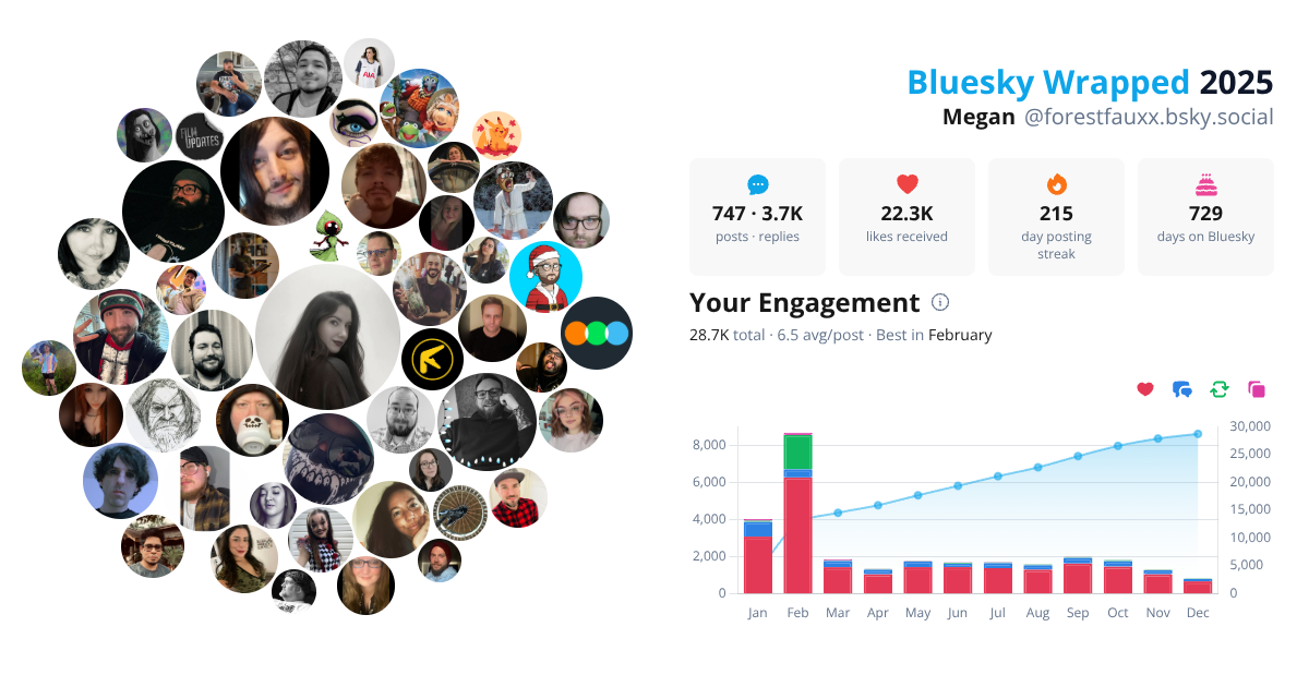 Your Bluesky Wrapped 2025 preview