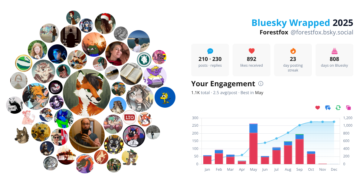Your Bluesky Wrapped 2025 preview