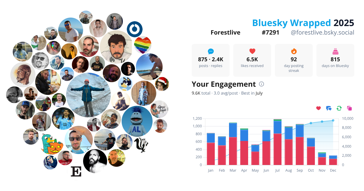 Your Bluesky Wrapped 2025 preview
