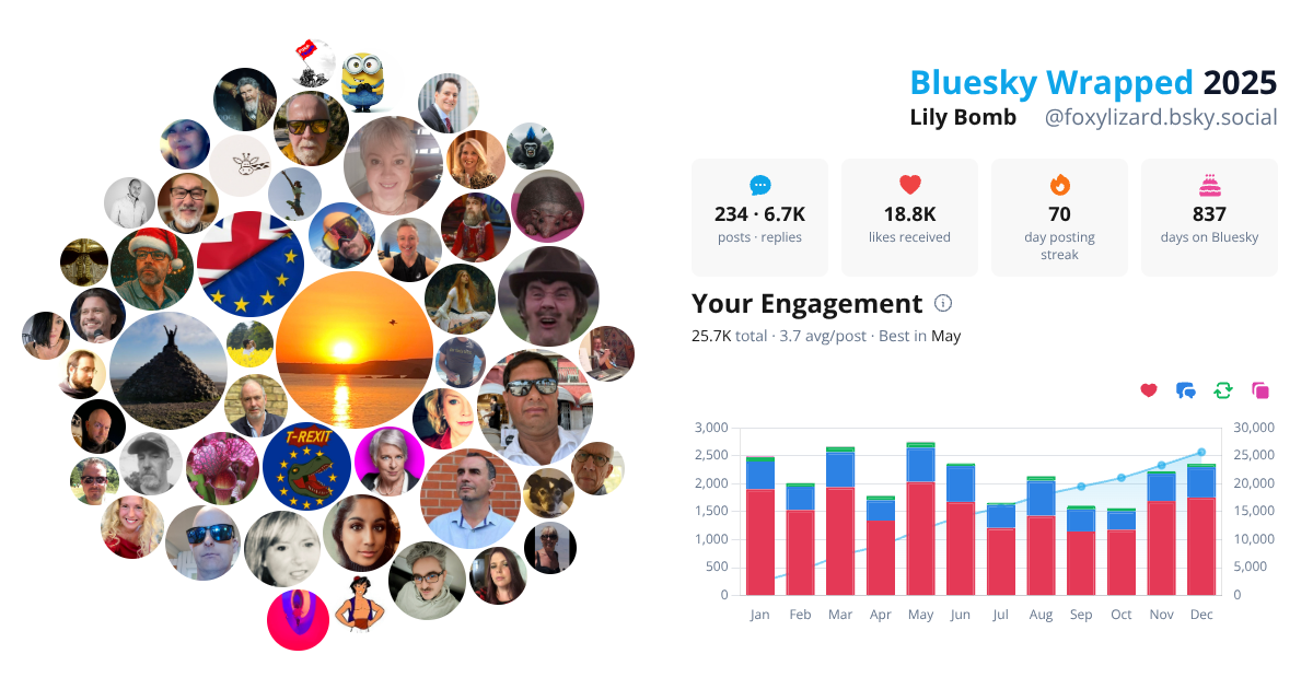 Your Bluesky Wrapped 2025 preview
