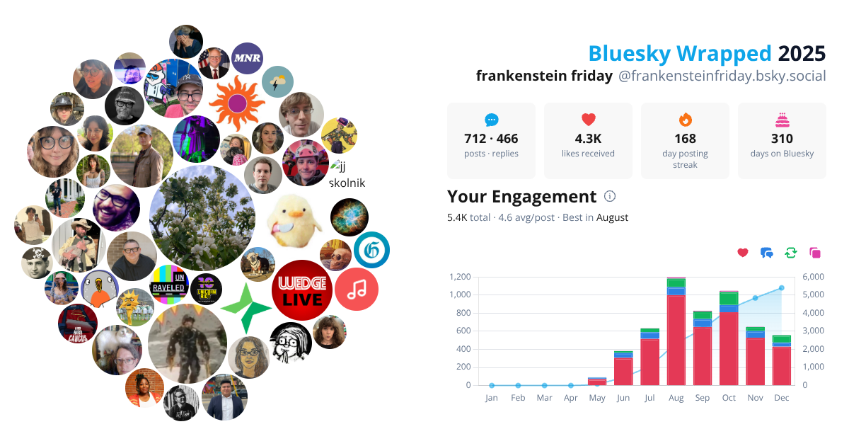 Your Bluesky Wrapped 2025 preview