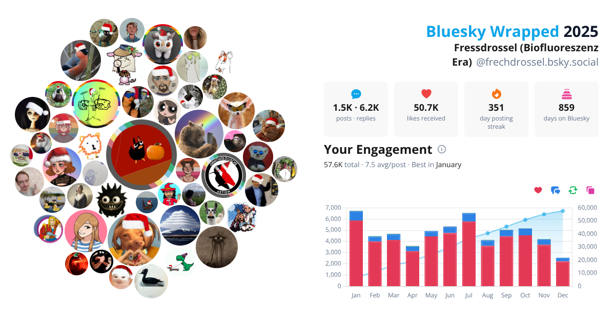 Your Bluesky Wrapped 2025 preview