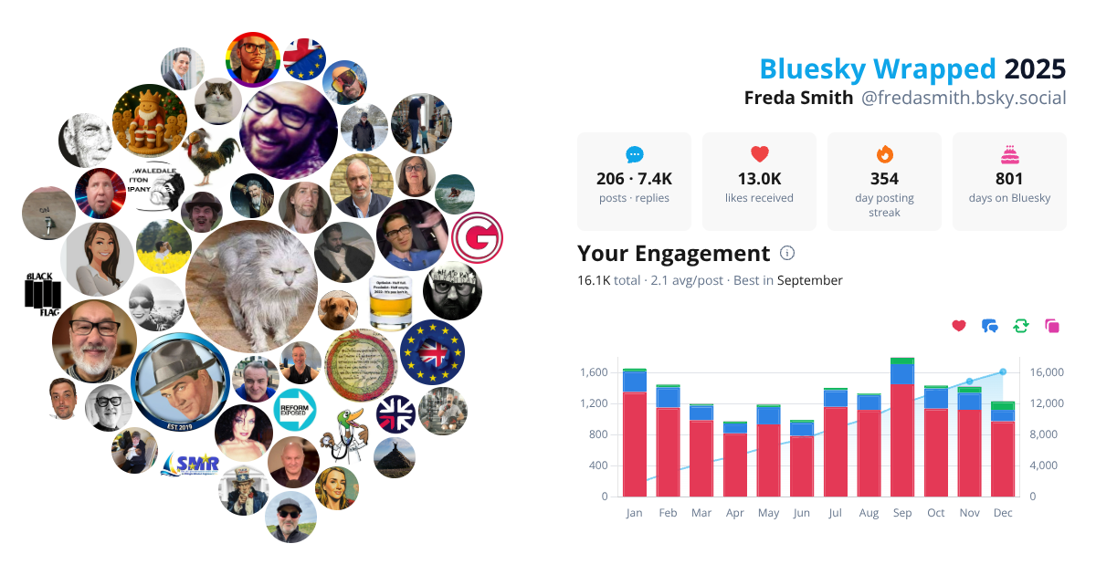 Your Bluesky Wrapped 2025 preview