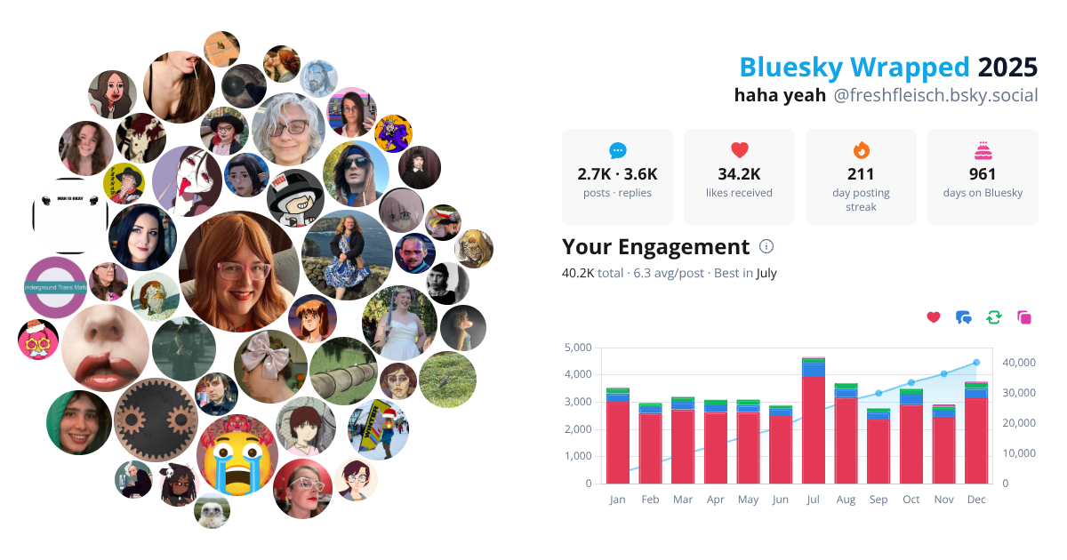 Your Bluesky Wrapped 2025 preview