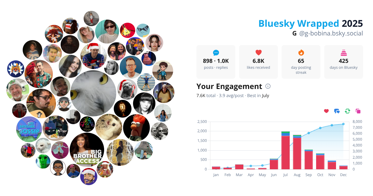 Your Bluesky Wrapped 2025 preview