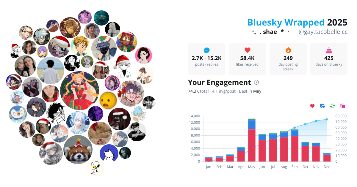 Your Bluesky Wrapped 2025 preview