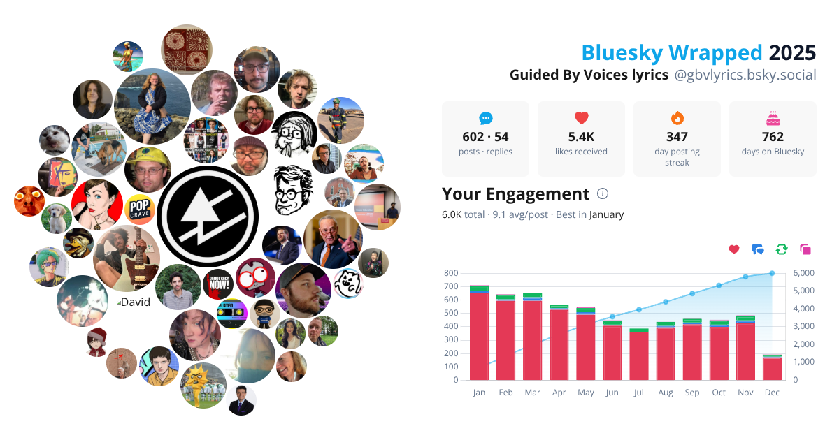 Your Bluesky Wrapped 2025 preview