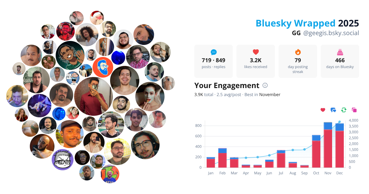 Your Bluesky Wrapped 2025 preview