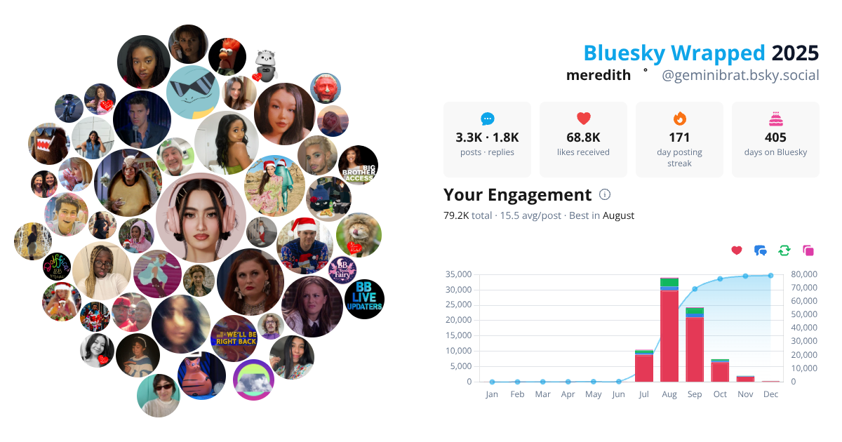 Your Bluesky Wrapped 2025 preview