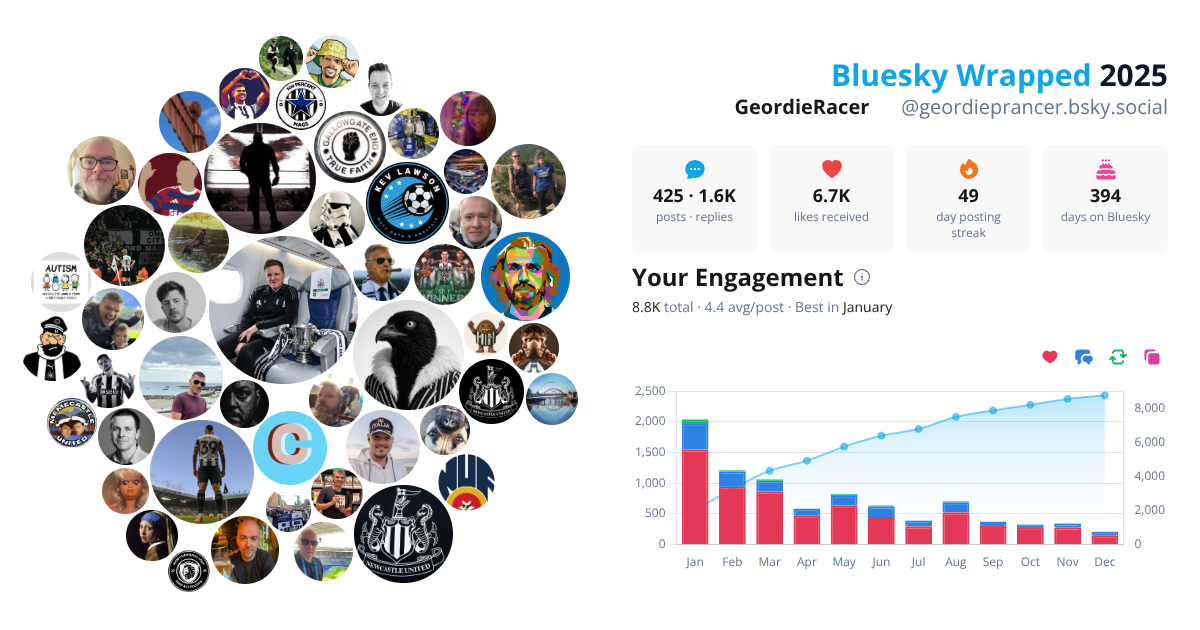 Your Bluesky Wrapped 2025 preview