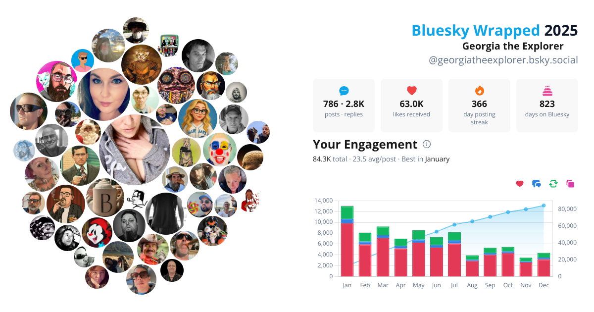 Your Bluesky Wrapped 2025 preview