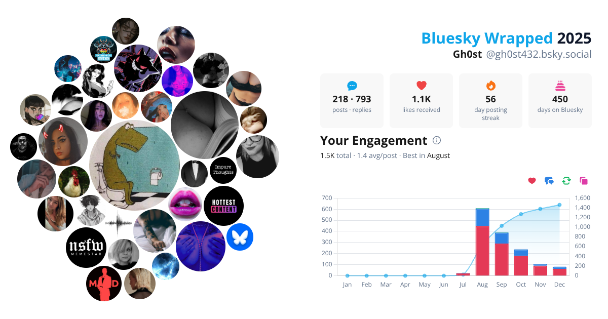 Your Bluesky Wrapped 2025 preview