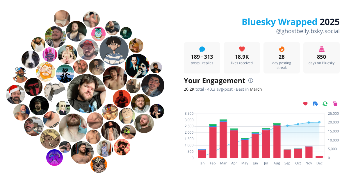 Your Bluesky Wrapped 2025 preview
