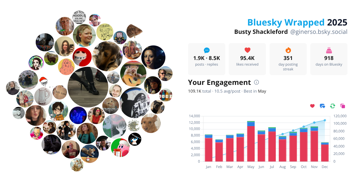 Your Bluesky Wrapped 2025 preview