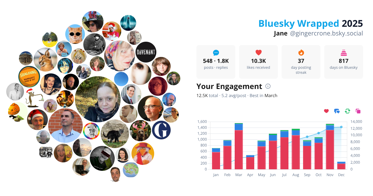Your Bluesky Wrapped 2025 preview