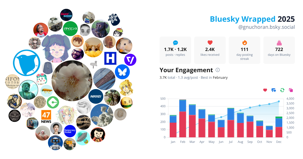 Your Bluesky Wrapped 2025 preview
